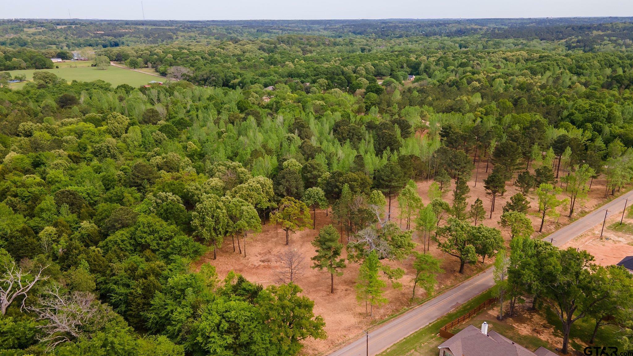 Property Photo:  17436 County Road 479  TX 75771 