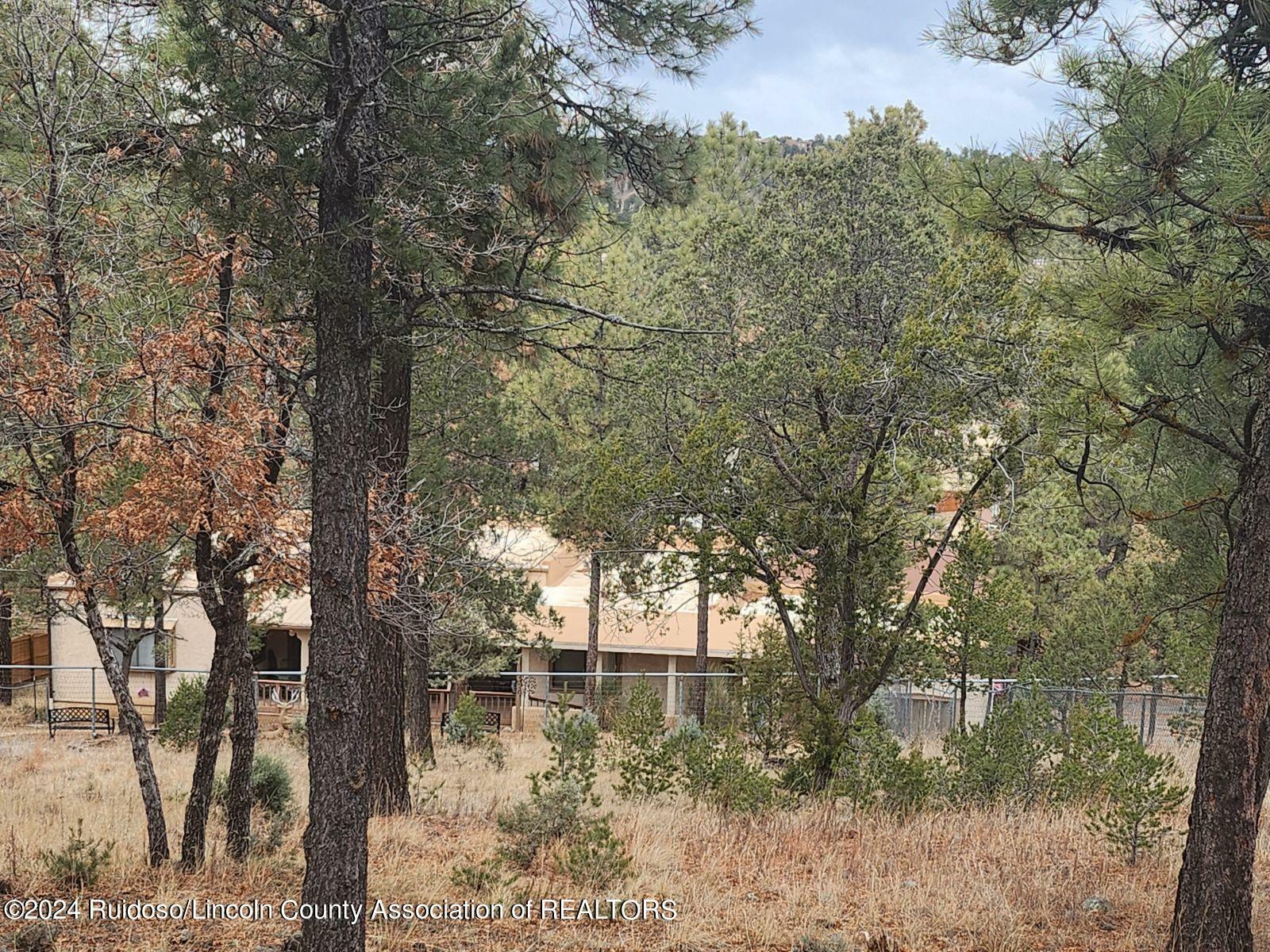 Property Photo:  105 Horton Court  NM 88345 