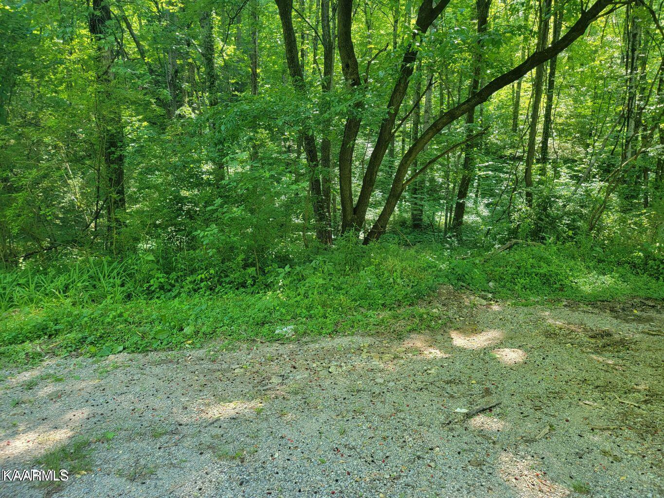 Property Photo:  Patty Hill Rd  TN 37714 