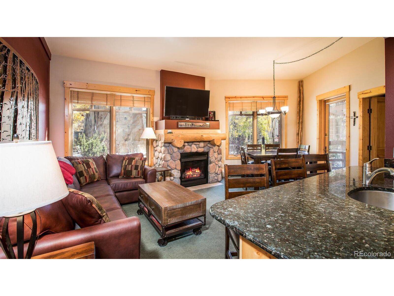 Property Photo:  164 Copper Cir 111  CO 80443 