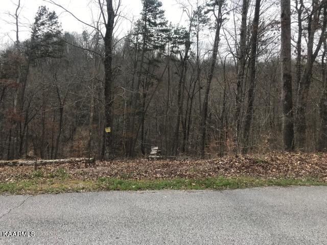 Property Photo: Sawmill Cove TN 37854