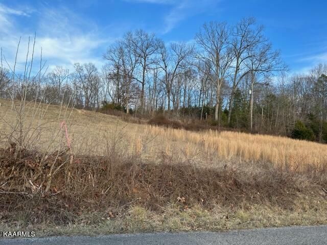 Property Photo:  Robertson Hill Rd Rd  TN 37870 