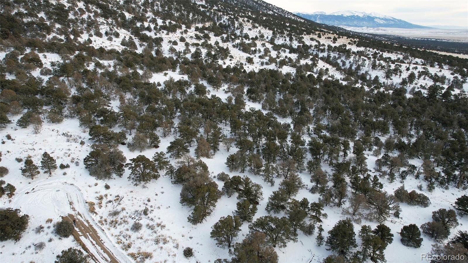 Property Photo:  4400 E Twin View Ol  CO 81131 