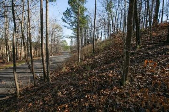 Property Photo:  Lot 76 Fairway Dr  AL 35057 - CULLMAN 