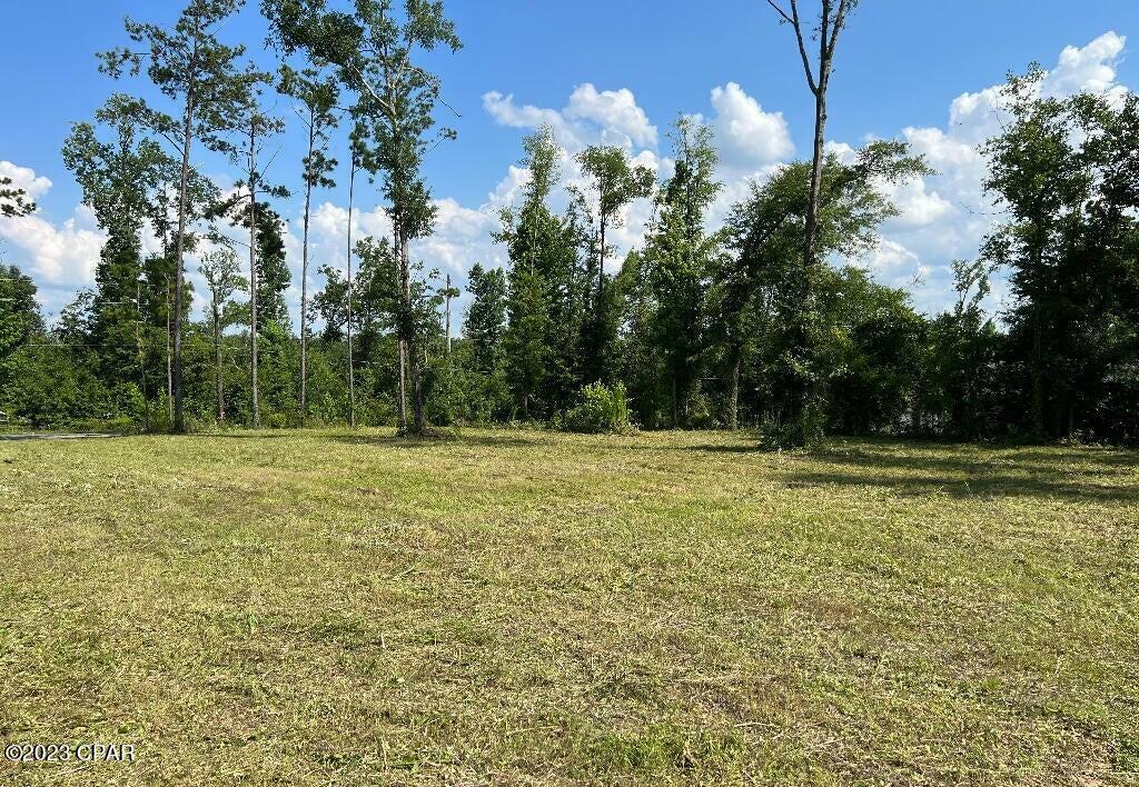 Lot 2 Flynt Drive  Marianna FL 32446 photo