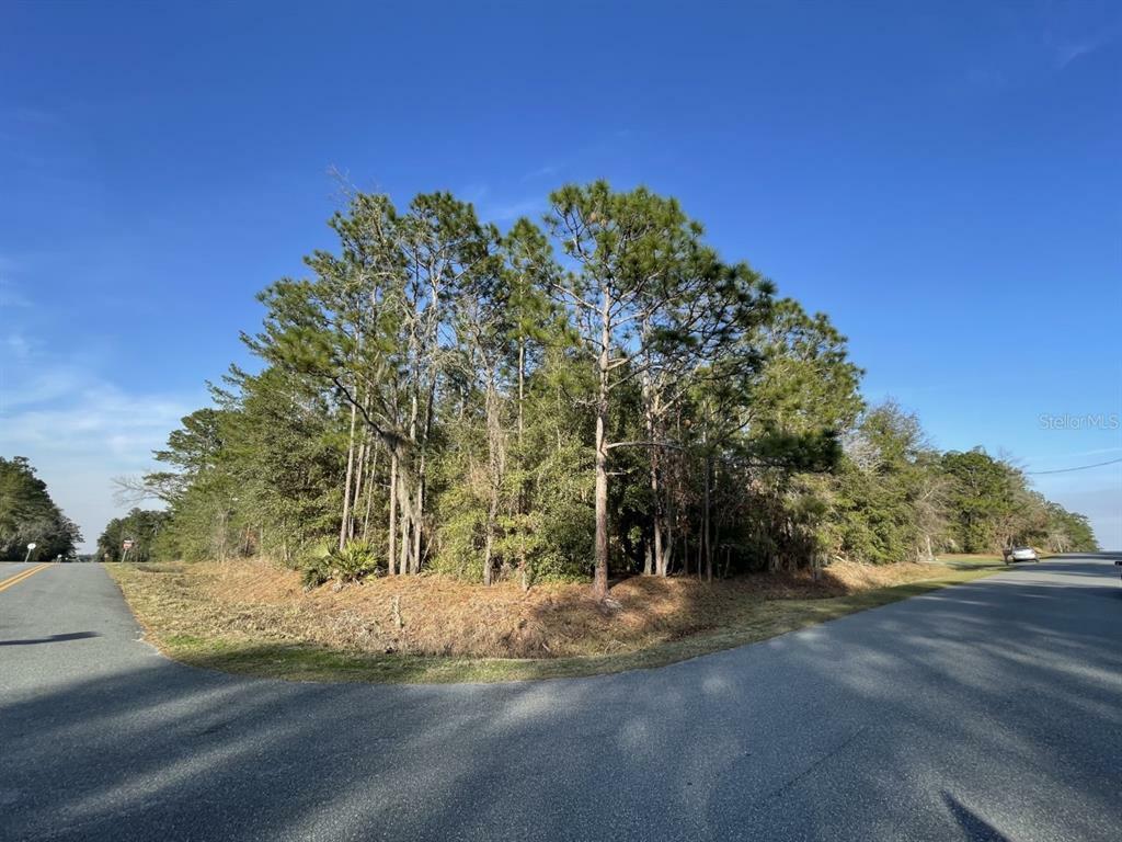 Property Photo:  Lot 241S SW 115th Street  FL 34476 