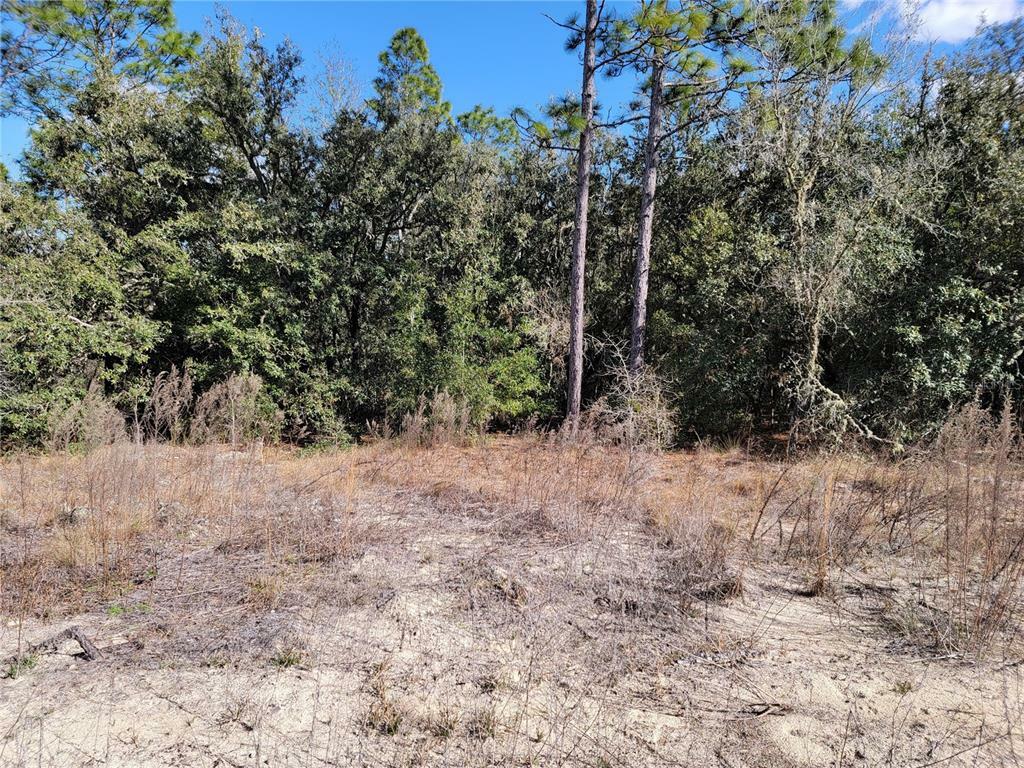 Property Photo:  0 SW 204th Ave  FL 34431 