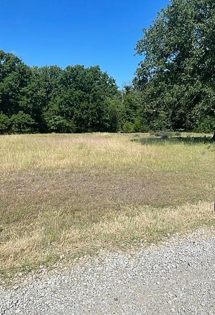 Property Photo:  14046 Whatley Drive  TX 75859 