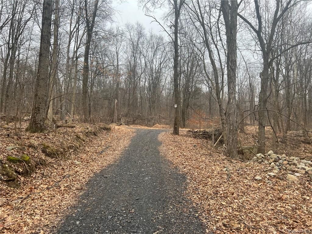 Property Photo:  Clove Road  NY 10914 