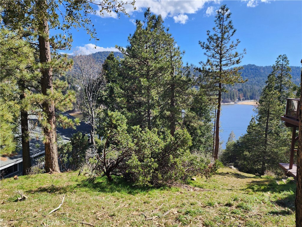 Property Photo:  405 Wylerhorn Drive  CA 92325 