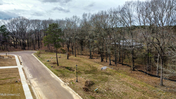 Property Photo:  106 Belle Fleur Lane  MS 39056 