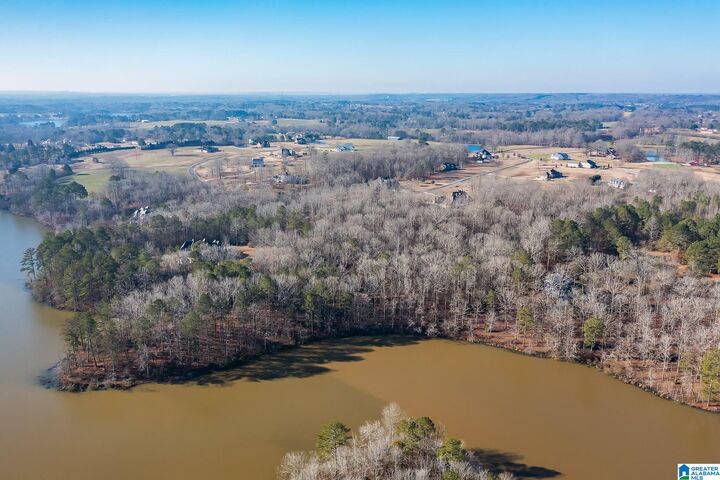 Property Photo: 0 County Road 1539 12 AL 35179