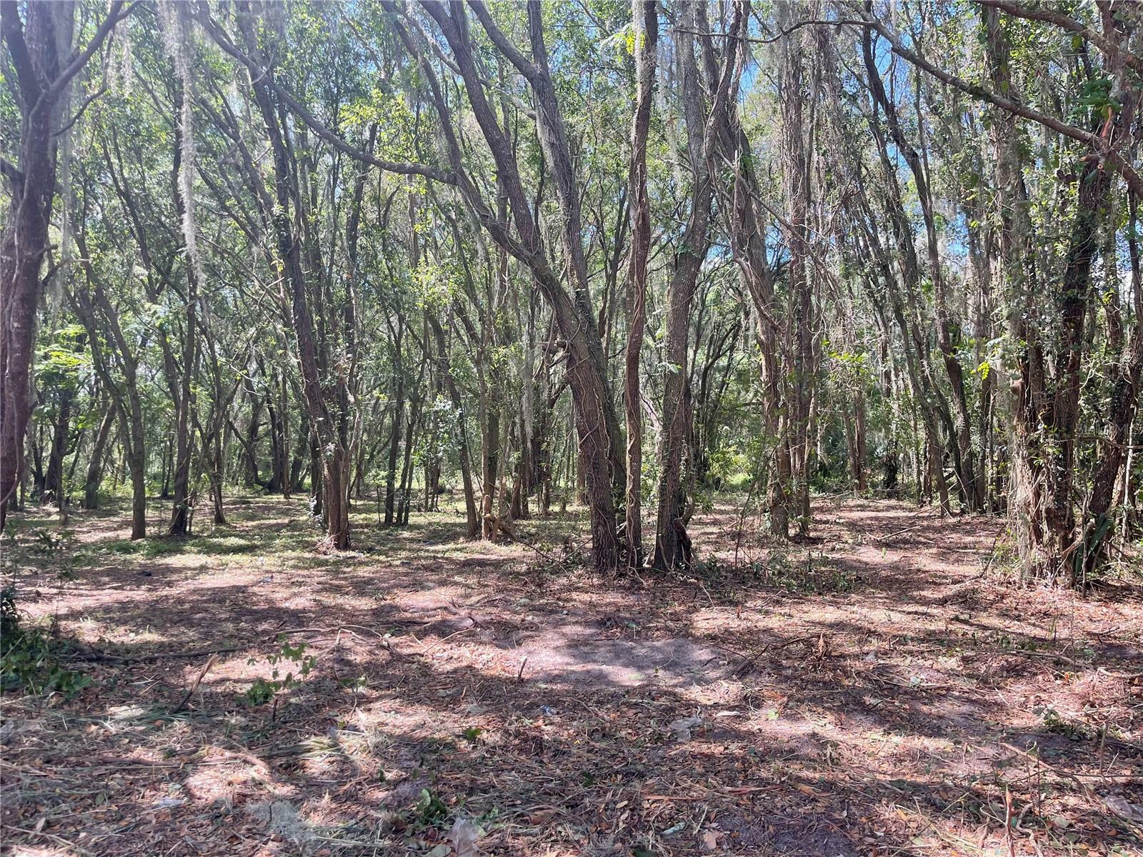 Property Photo:  Shore Acres Drive  FL 34748 