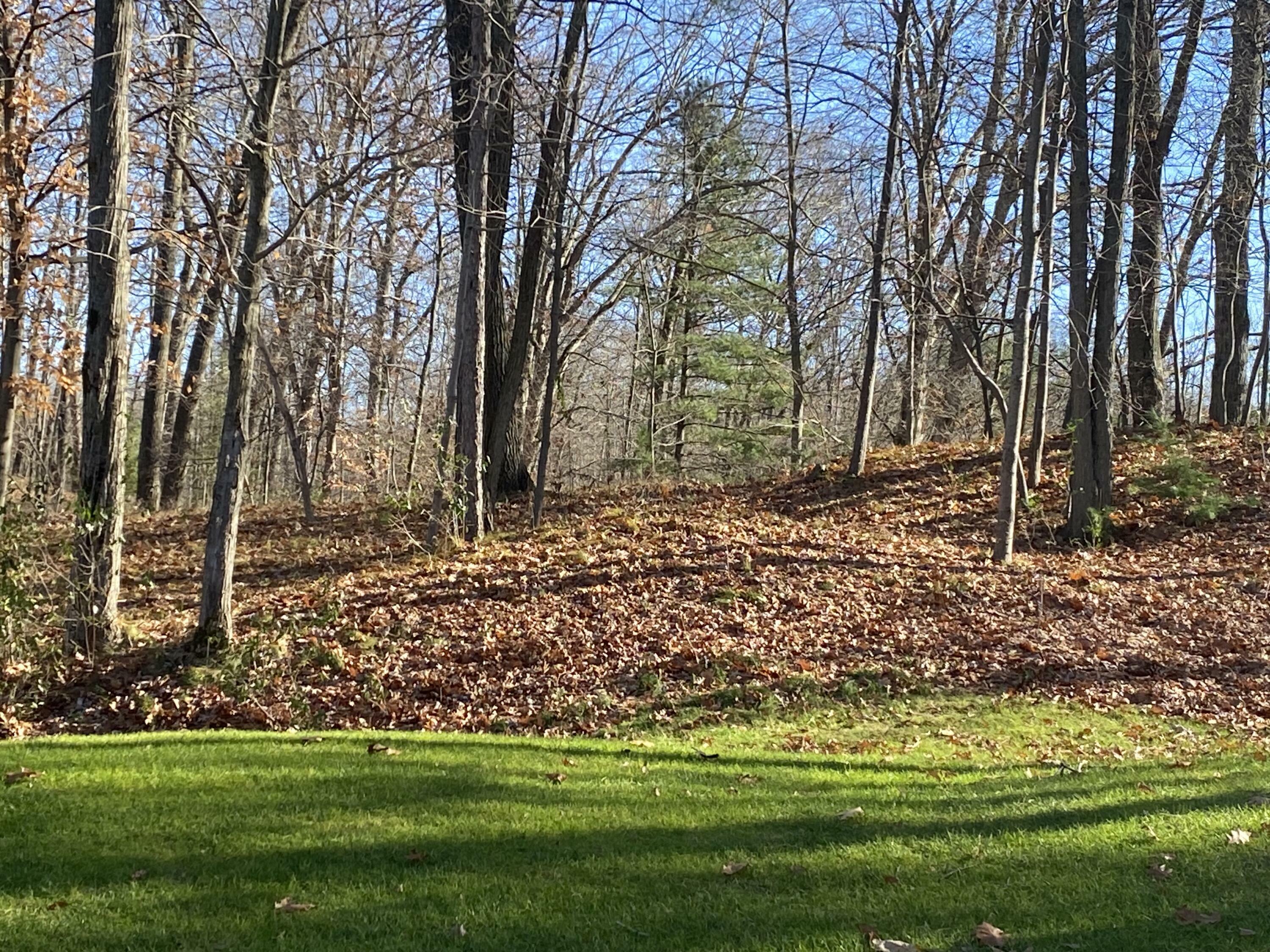 Property Photo: 8975 Whispering Lane MI 49346