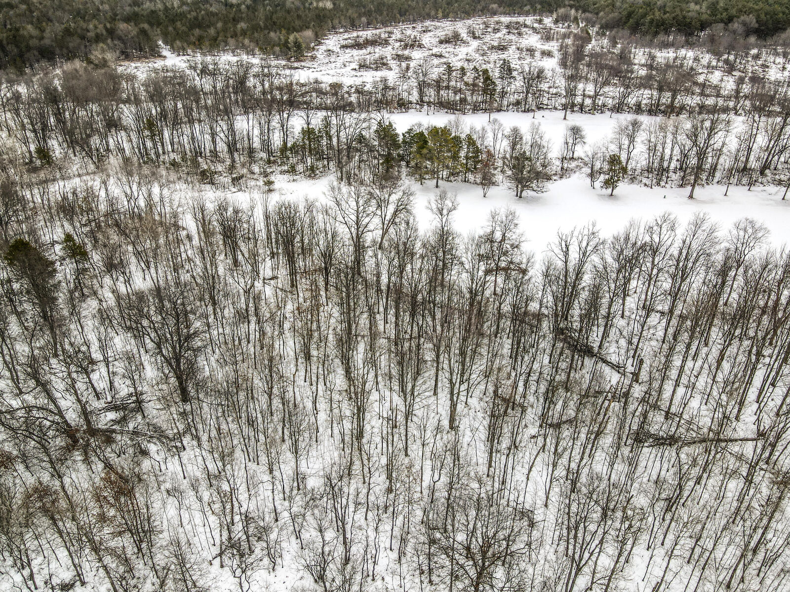 Property Photo: Unit 6 Fairway Court MI 49738