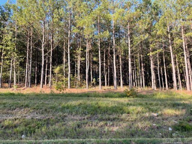 Lot 1 Round Mountain Road  Conway AR 72034 photo