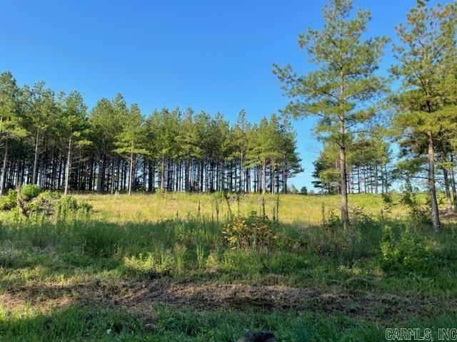 Lot 9 Round Mountain Road  Conway AR 72034 photo