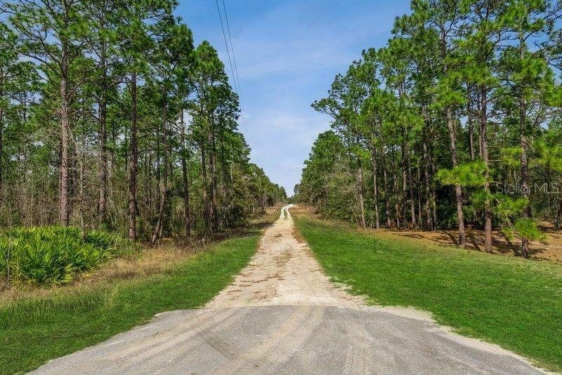 Property Photo:  Lot 7 SW 123rd Ave Road  FL 34481 