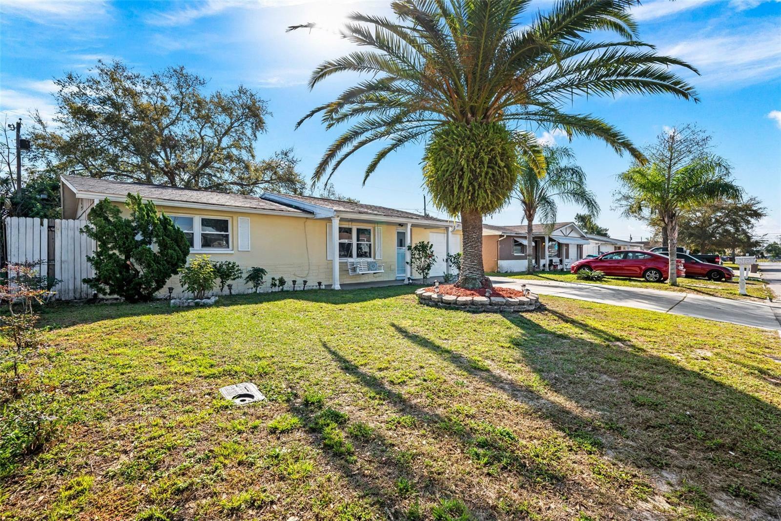 Property Photo:  3606 Berkshire Street  FL 34652 