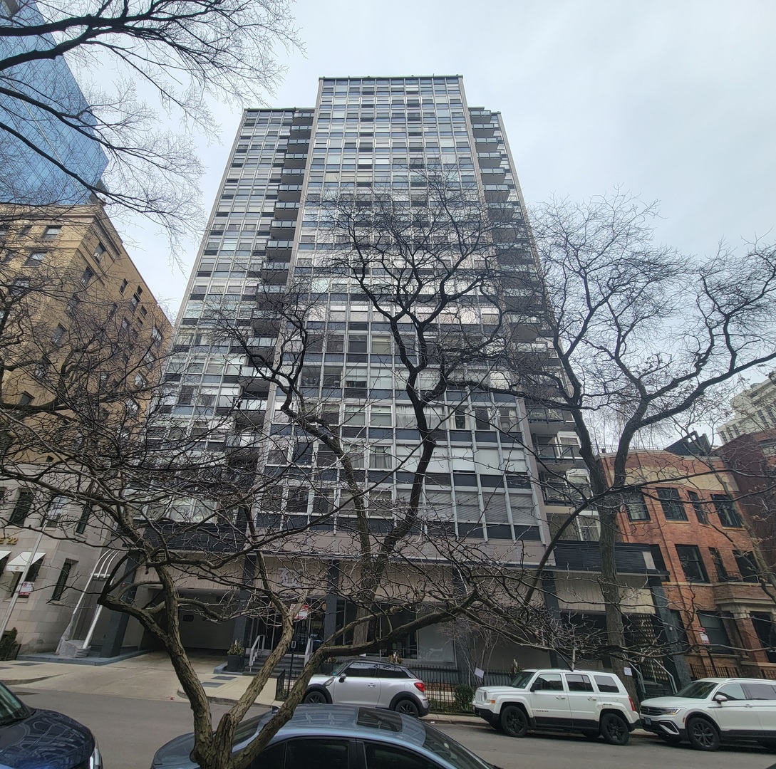 Property Photo: 30 E Elm Street 18C IL 60611