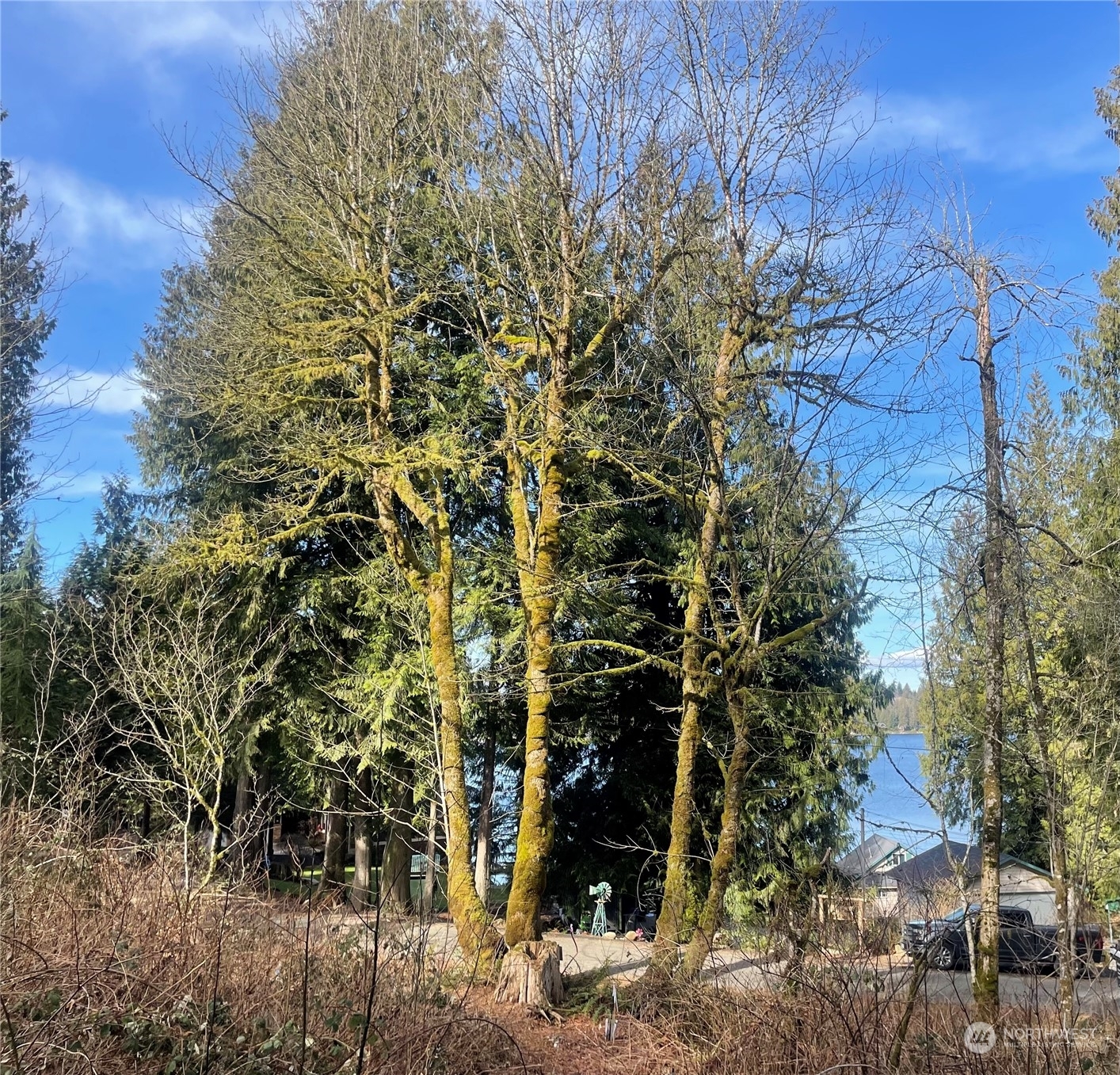 Property Photo: 625 S Tulloch Road WA 98290