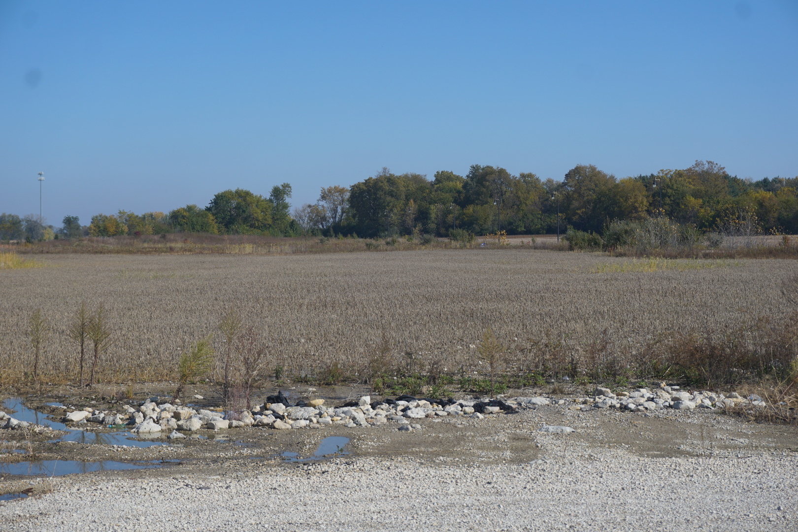 Property Photo:  Sec29 Heritage Drive  IL 60421 