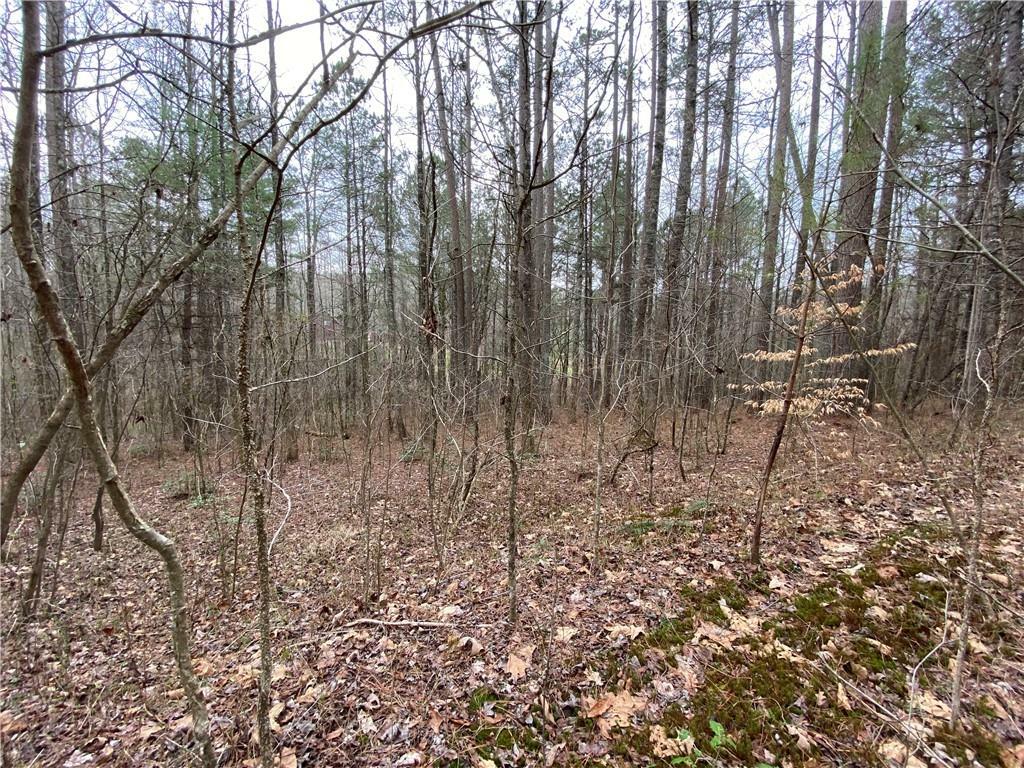 Lot 17 Eastridge Lane  Ellijay GA 30536 photo