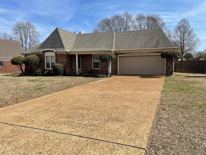 462 Autumn Trail Cv  Collierville TN 38017 photo