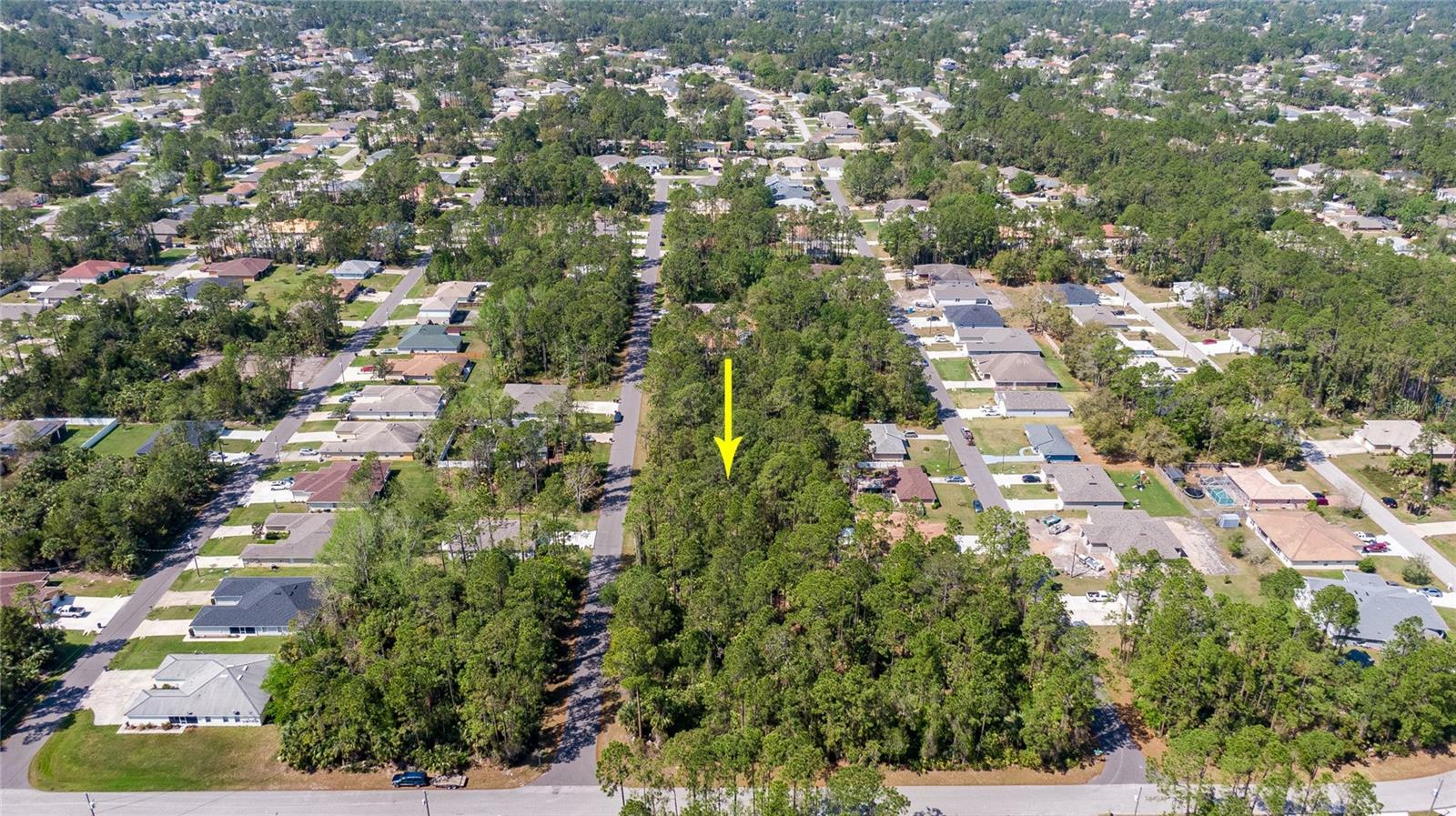 Property Photo:  29 Pontiac Lane  FL 32164 