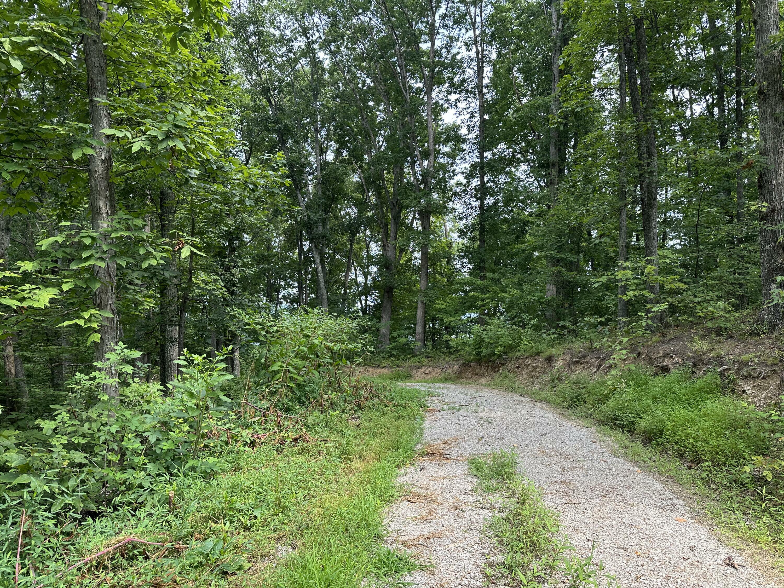 Property Photo:  Lot C Freeman Branch Road  KY 40729 