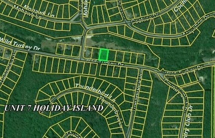 Property Photo:  Lot 3 Wild Turkey Drive  AR 72631 