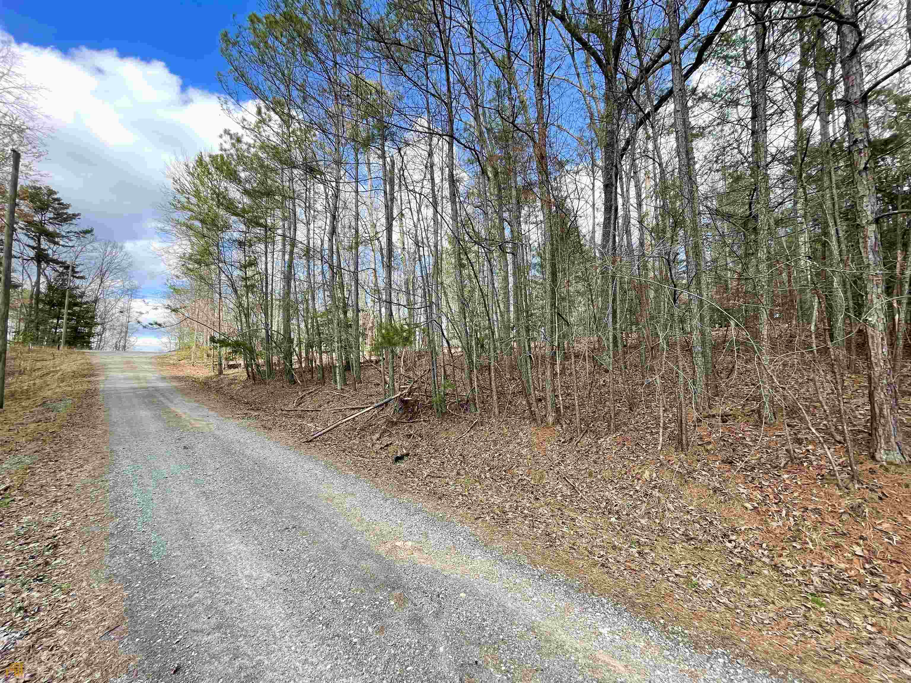 Property Photo: 0 1015 Evans Drive 1015 GA 30540
