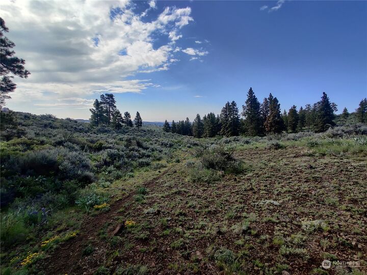Property Photo:  405 Wild Turkey Road  WA 98802 