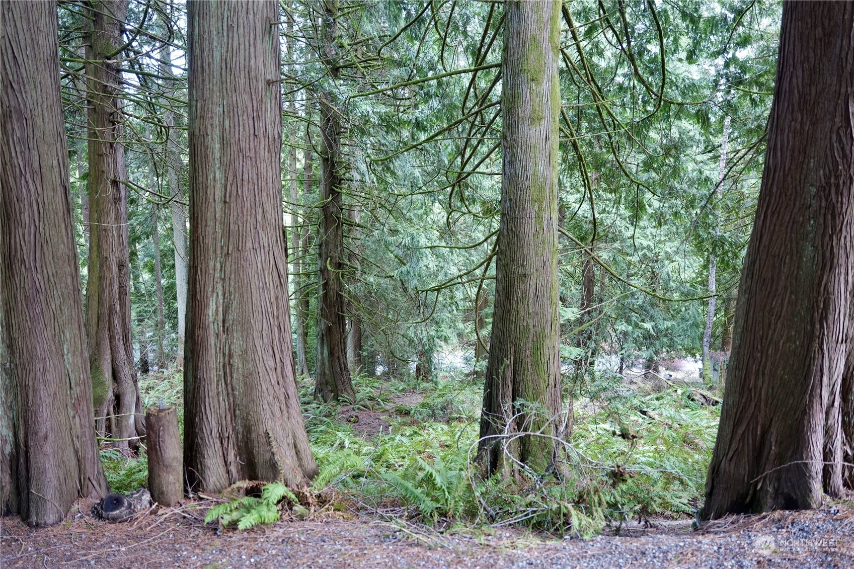 Property Photo: 19 Valley Crest Way WA 98229