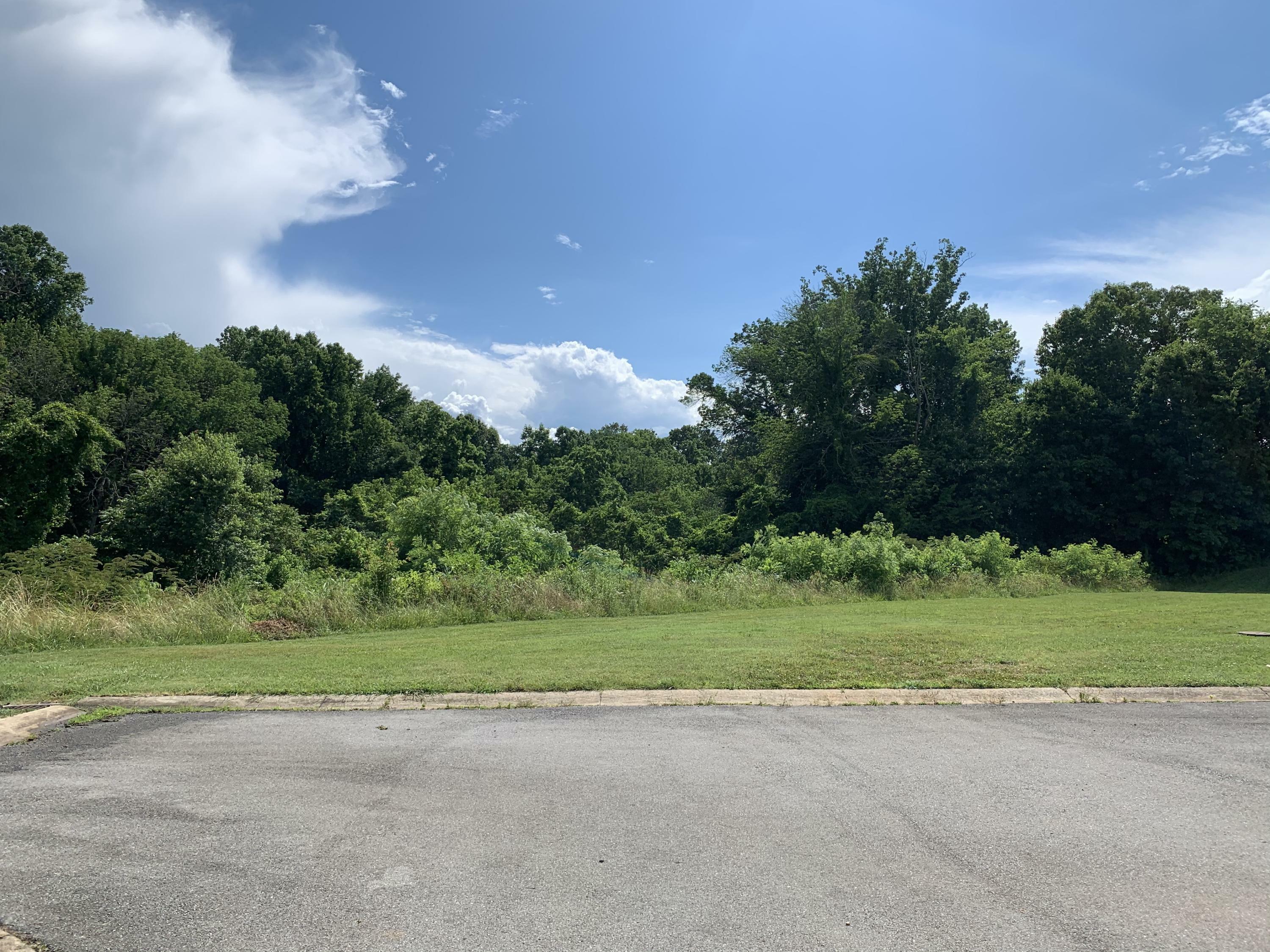 Property Photo:  Lot 47 Chase Court  TN 37745 