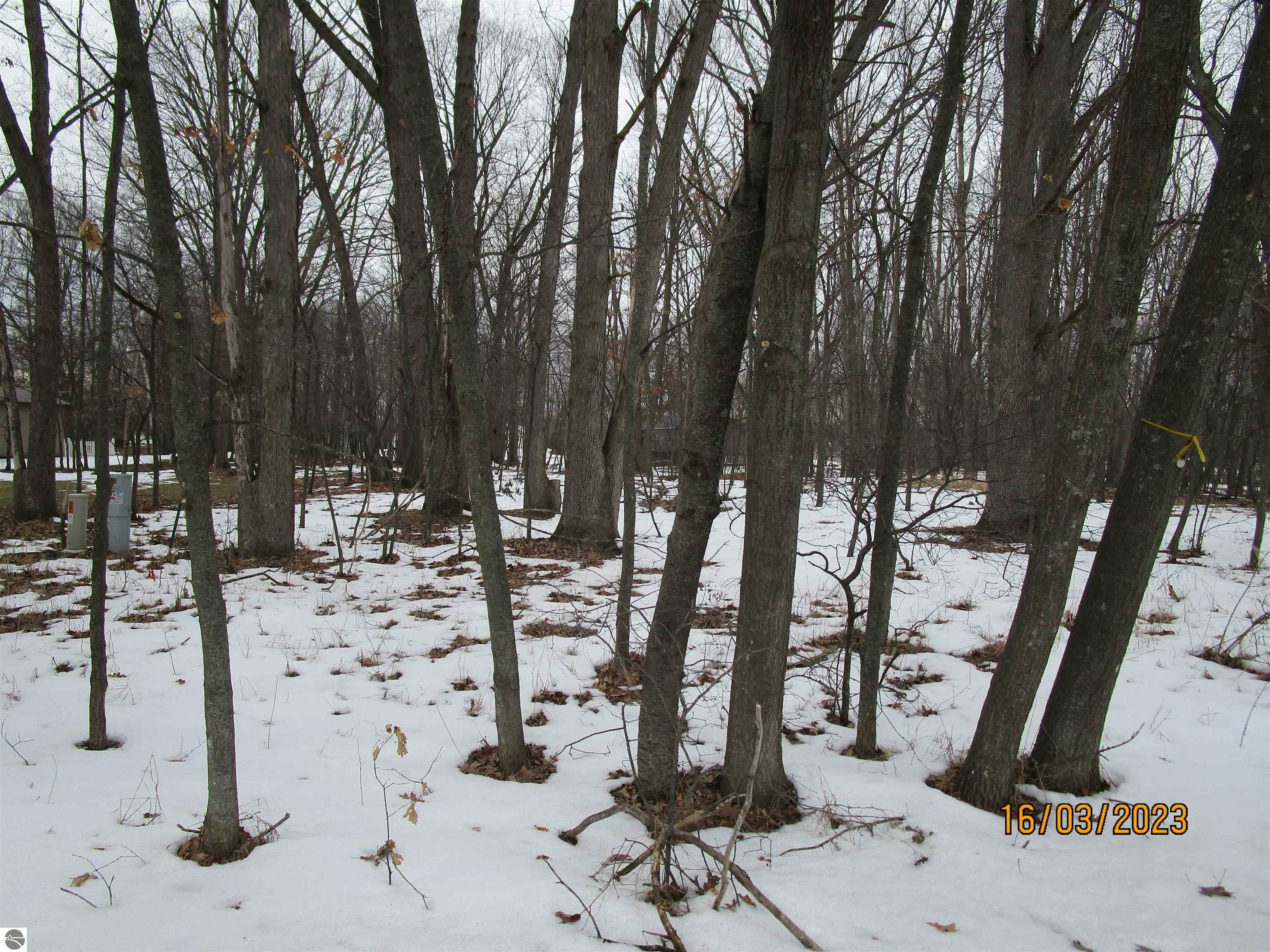 Property Photo:  1050 Bundy Drive  MI 48893 