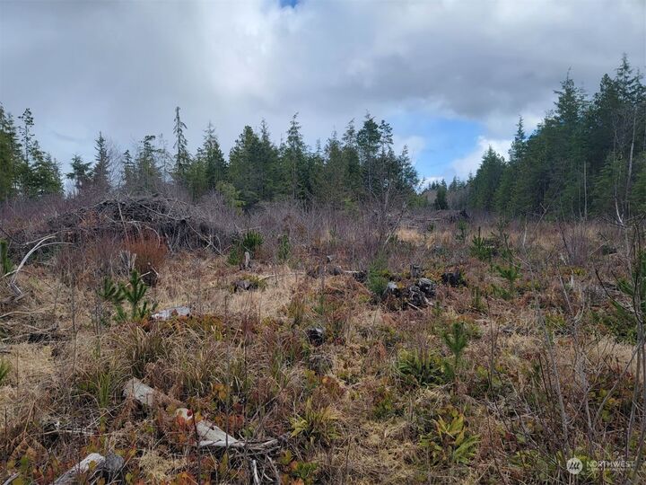 Property Photo: 0 Xxx Ocean Beach Road WA 98550