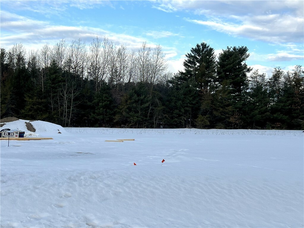 Property Photo: Lot 24 Mertinke Landing WI 54701