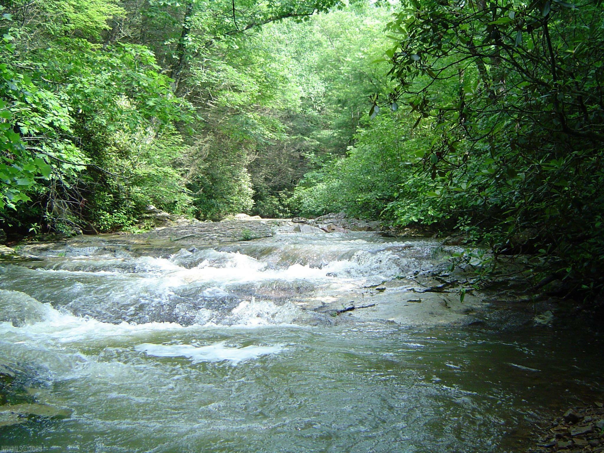 Tbd Forest Service Rd Road  Blacksburg VA 24060 photo