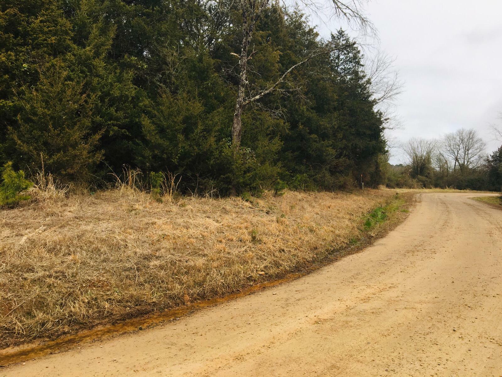 Property Photo: 43 Eagles Nest, Cr 1709 AR 72847