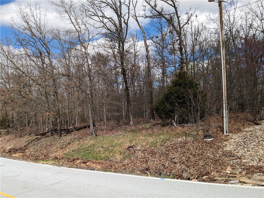 Property Photo:  Lot 24 Block 2 Cullen Hills Drive  AR 72715 