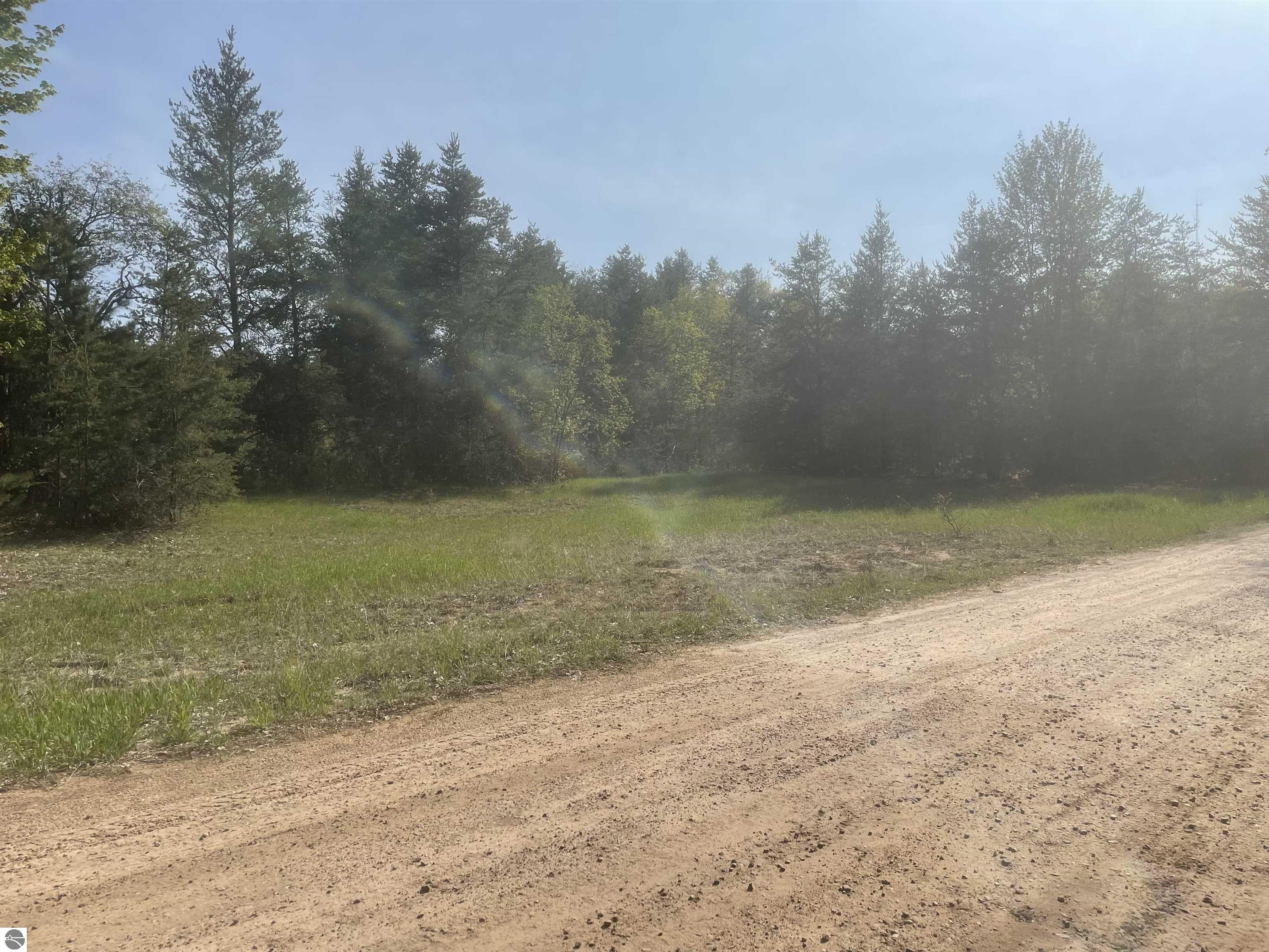 Lot B Betsie River Road  Interlochen MI 49643 photo