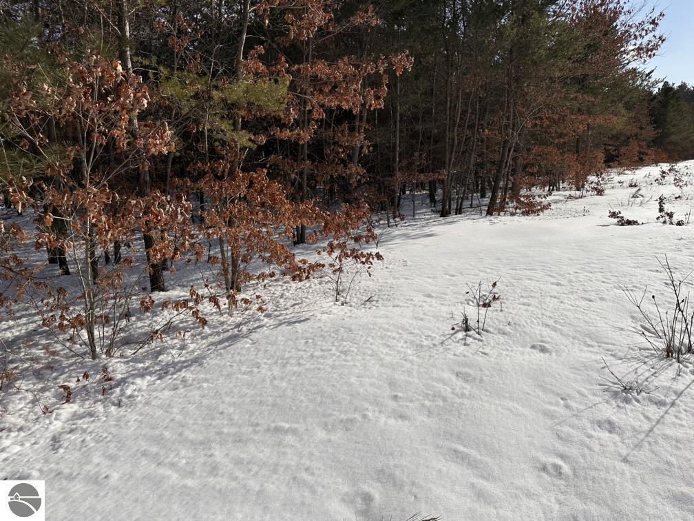 Lot C Betsie River Road  Interlochen MI 49643 photo