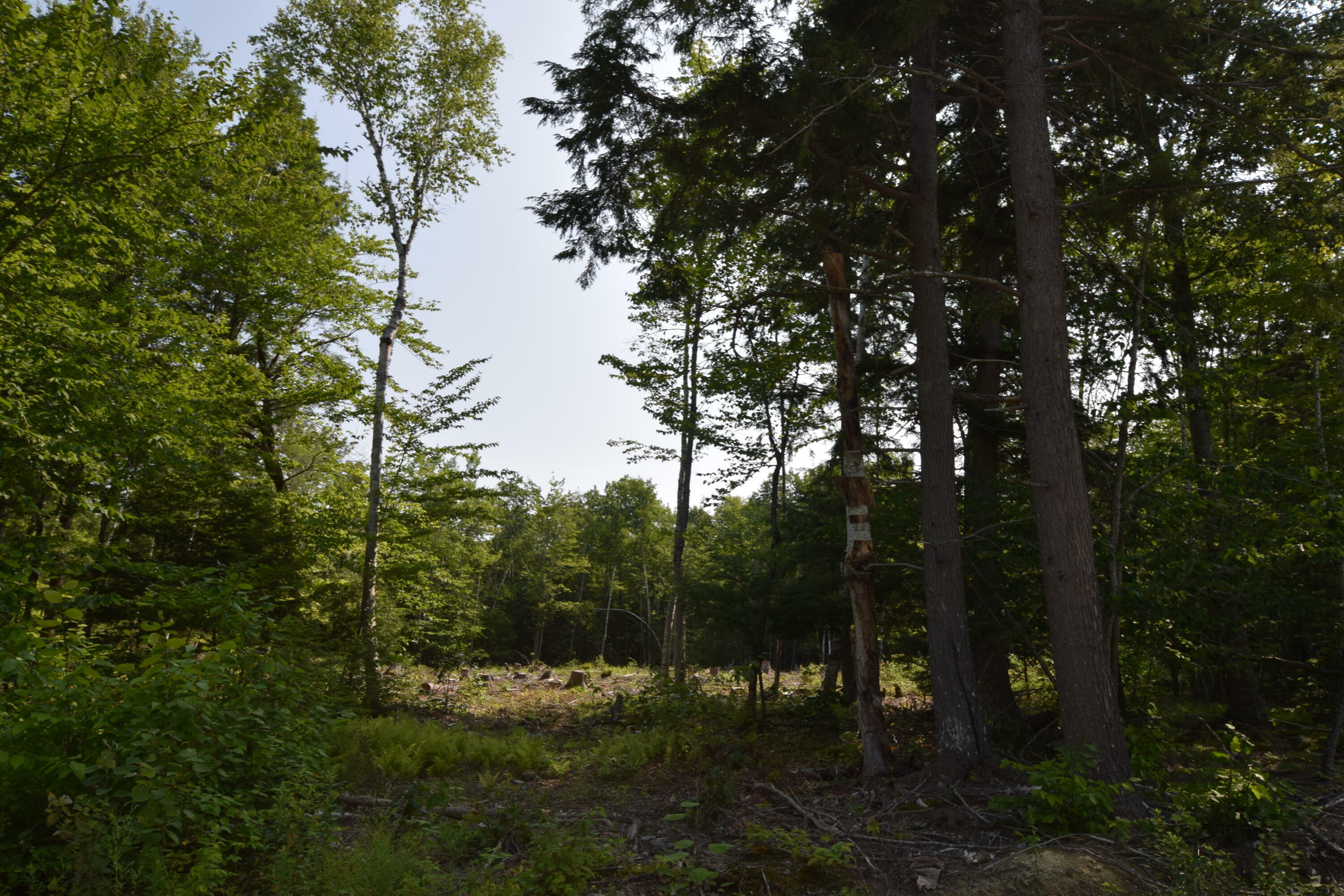 Property Photo:  11 Katahdin Way  ME 04428 