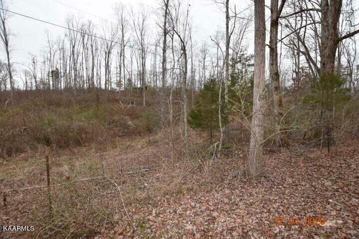 Property Photo:  Lot 4 Maple Grove Rd  TN 37880 