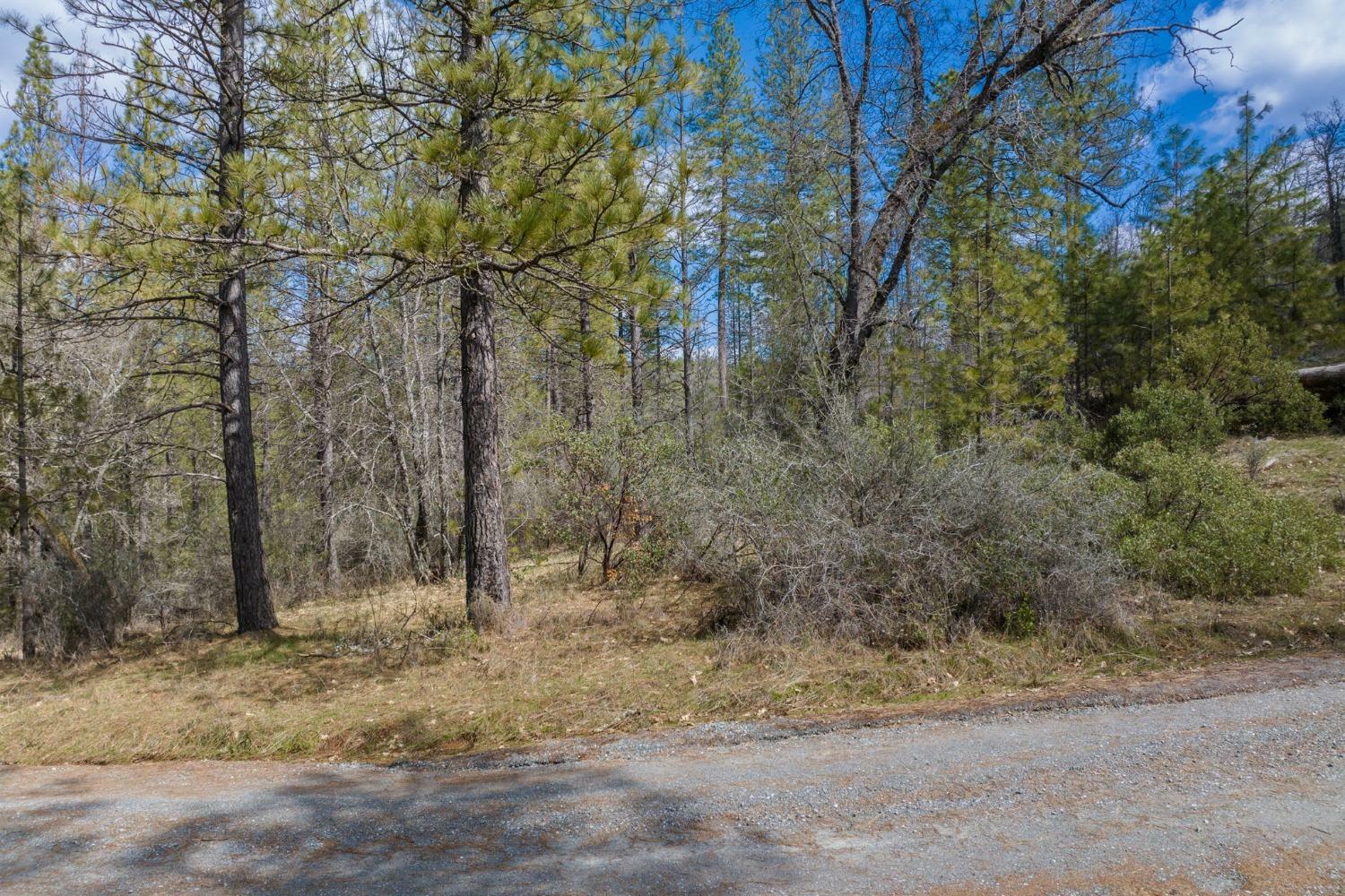 Property Photo:  7300 Miller Ranch Road  CA 95246 