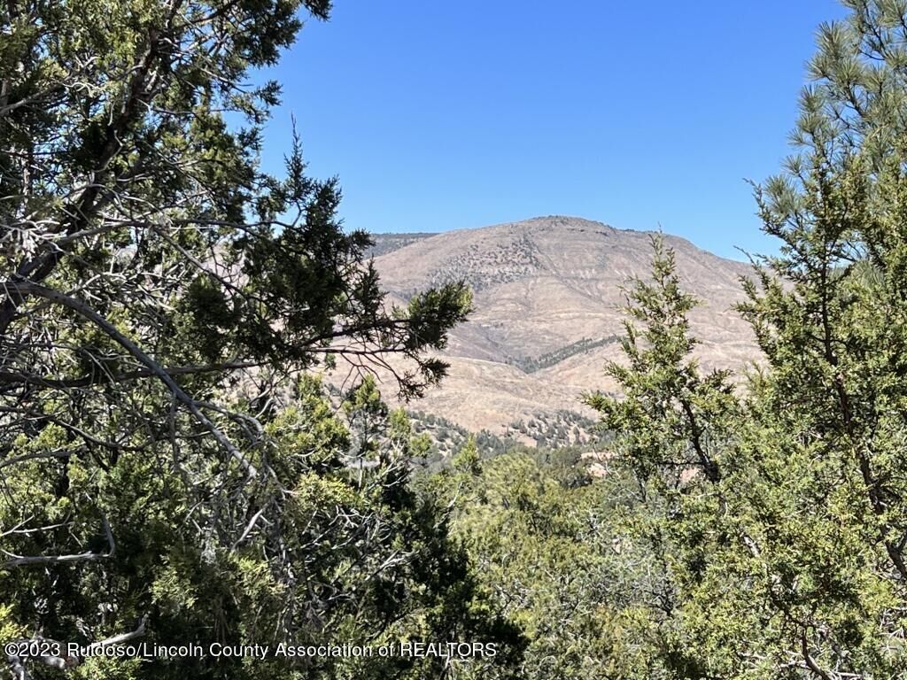 Property Photo:  130 Agua Fria Drive  NM 88346 