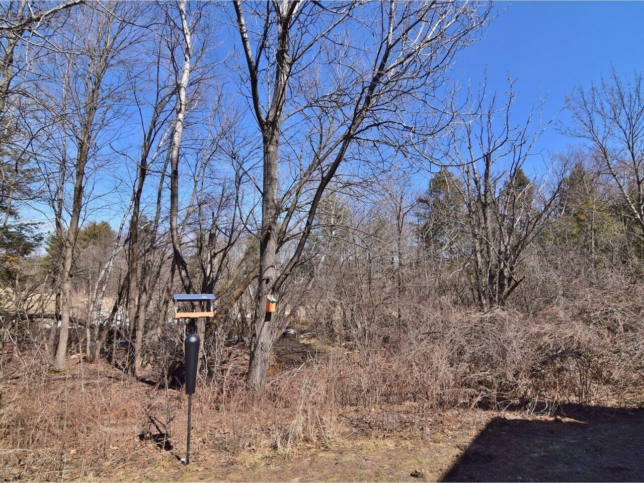 Property Photo: 911 Dorset Street 43 VT 05403
