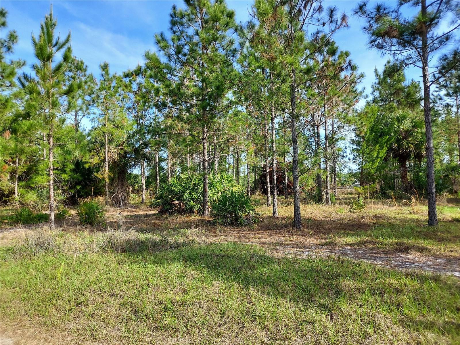 Property Photo: 0 Geneva Woods Cove FL 32732