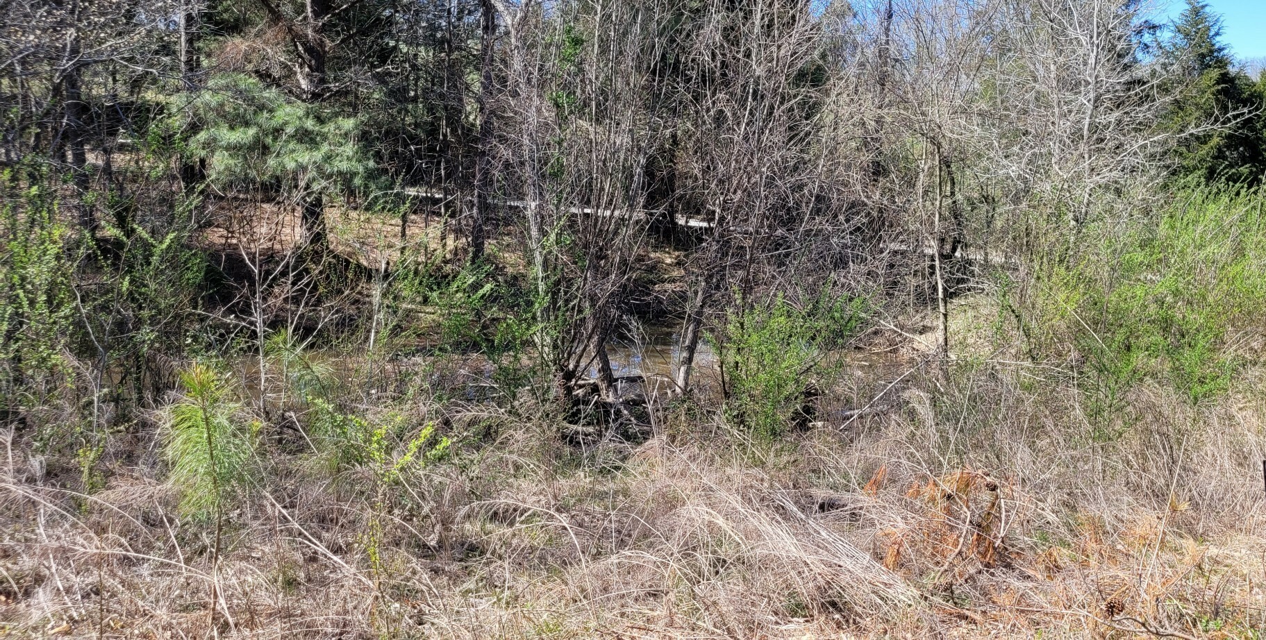 Property Photo:  0 Overlook Rd  TN 37058 